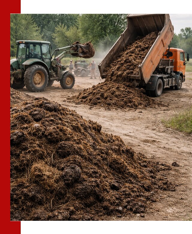 Доставка навоза самосвалами в Тихвине для сельхозпотребностей