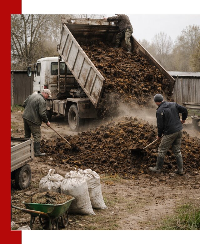 Доставка коровьего навоза самосвалом в Тихвине